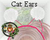 Fur Cat Ears