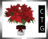 CTG POINSETTIA IN RED