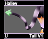 Halley Tail V1