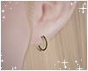 ✧ Small Hoops