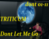 Triticum Dont Let Me Go