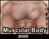 Muscular Body