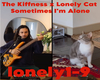 The Kiffness Lonely Cat