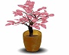Pink Potted Plant 1