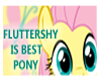 [A] Fluttershy Best Pony