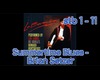 Summertime Blues