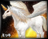 ! Pegasus Horse #Riding