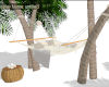 Palm hammock - FRede