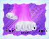 ꨄStacy Pawsꨄ