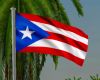 Puerto Rico Flag