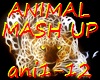 animal mashup