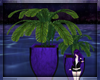 Large Purple Planters