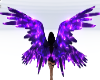 Purple_Hex_Wings