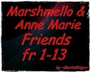 Marshmello - Friends
