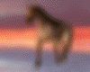 Epic Brown Horses 3D