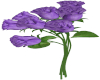 Purple Roses 7 Poses M/F