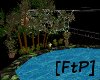 [FtP] ancient pond