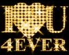 I Love You 4ever - Gold