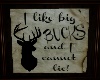 Big Buck Wild Picture