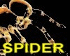 EEPY CREEPY SPIDER