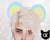 CK* Flat Mouse Ears