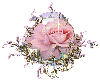 Rose in glass