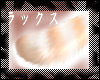 CINNAMON. tail