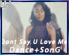 Dont Say You Love Me|D+S