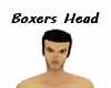 Boxers Head