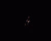 Pitchblack (anim)