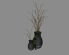 ~My Black Rose Plant V4