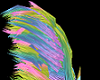 Rainbow Skunk Tail