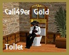 California49 Gold Toilet