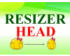 RESIER Head