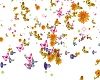 ecuador particle