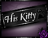His kitty bell collar