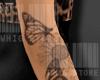 Arm, Tattoos F~