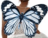 Lizza Butterfly V1