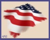 America's Flag Rug