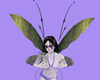 Faerie Violet Wings