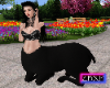 Emmy Centaur Avi