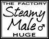 TF Steamy Male Avi Huge