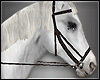 Horse Show white