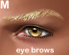 golden/blond eyebrows M