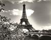 (LIR) Backd Paris Eiffel