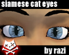 Siamese Cat Eyes (F)