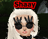 [S/] Oculos Shaay