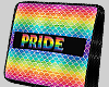 PRIDE Cluch Bag