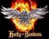 Harley Star Lounge Chair