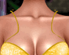 C~Yellow Butterfly Set